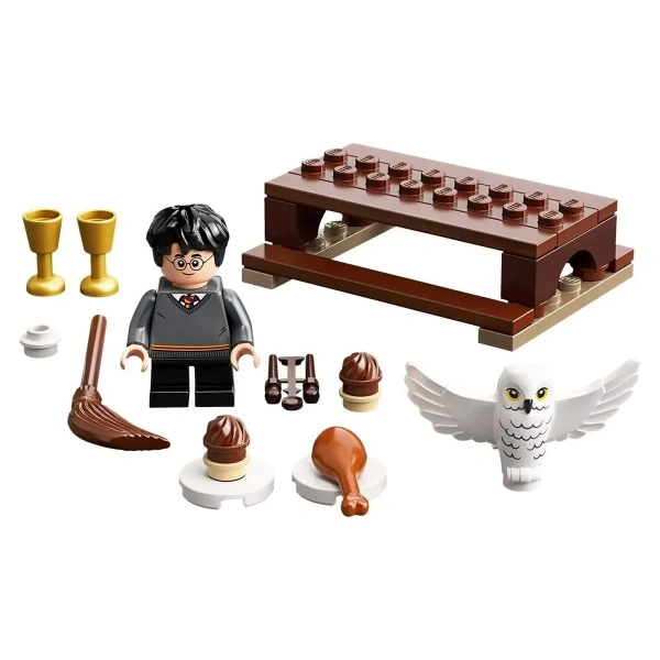 Конструктор LEGO Harry Potter 30420 Harry Potter and Hedwig